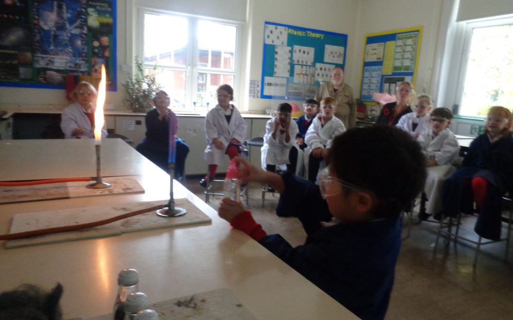 pp_2019_dragonflies DSC03874