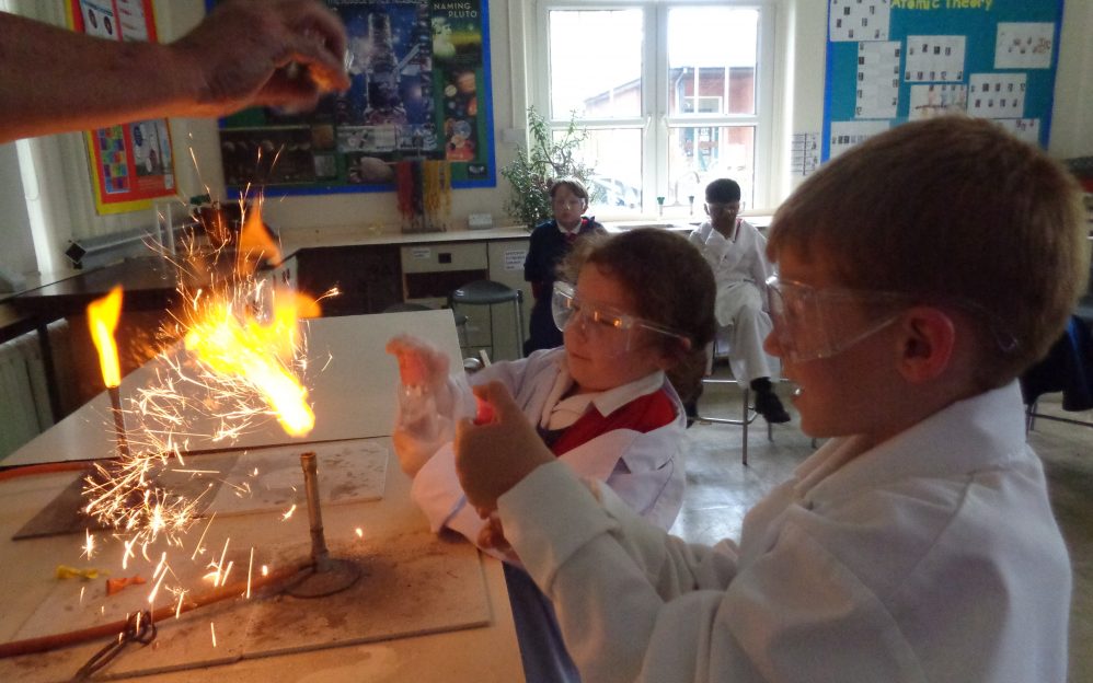 pp_2019_dragonflies  DSC03892