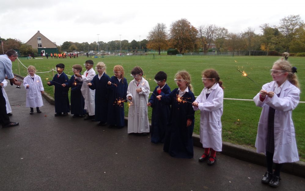 pp_2019_dragonflies   SC03901