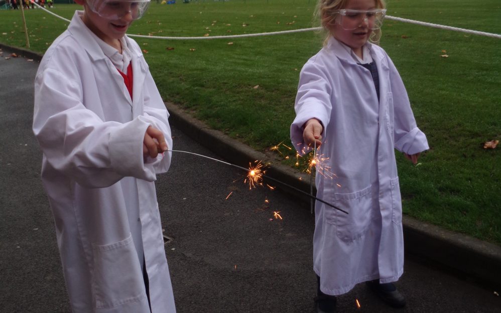 pp_2019_dragonflies  DSC03907