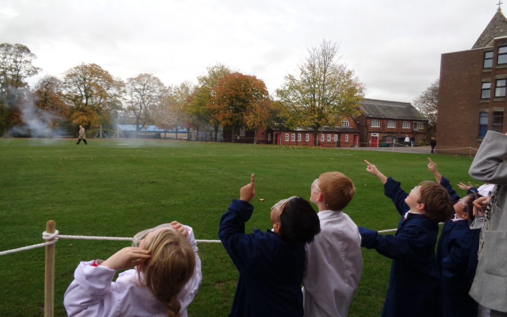 pp_2019_dragonflies  DSC03910