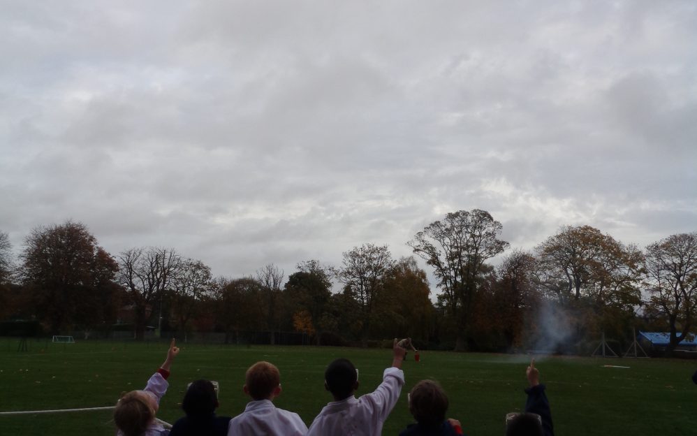 pp_2019_dragonflies  DSC03914