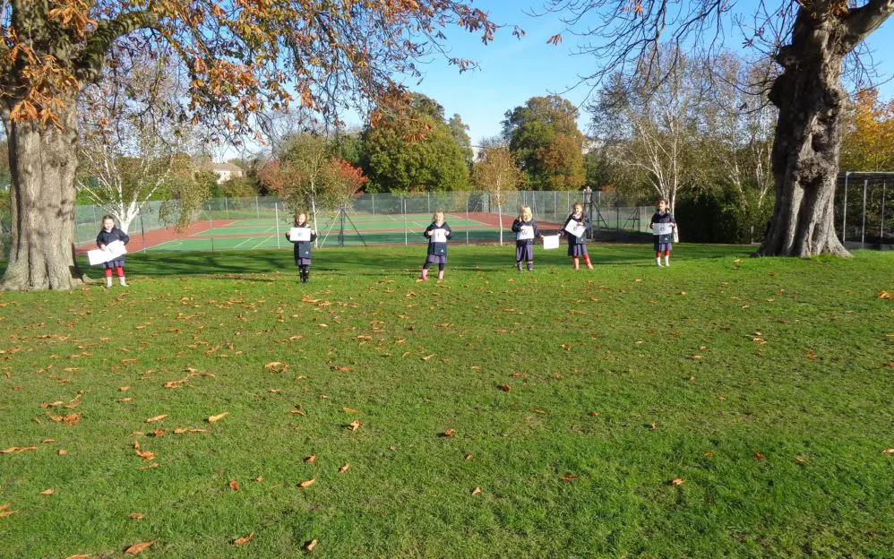 Crickets positional language outside