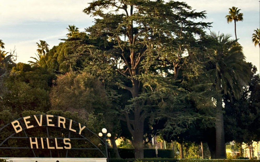 processed-91F86299-1B8A-4284-BD9D-397899843BC6